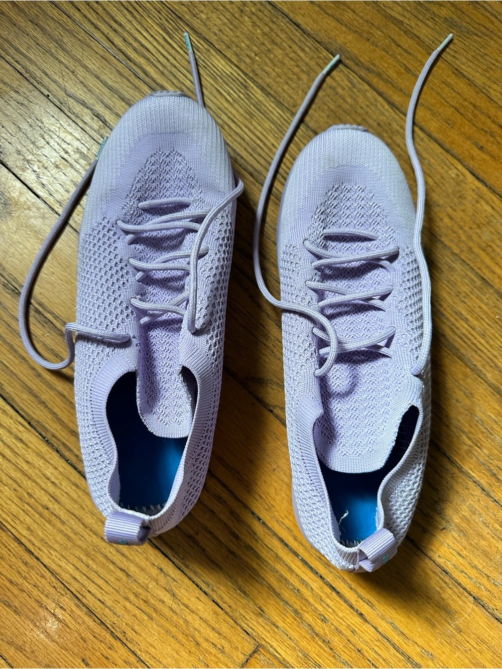 Native Shoes Mercury Liteknit Sneakers